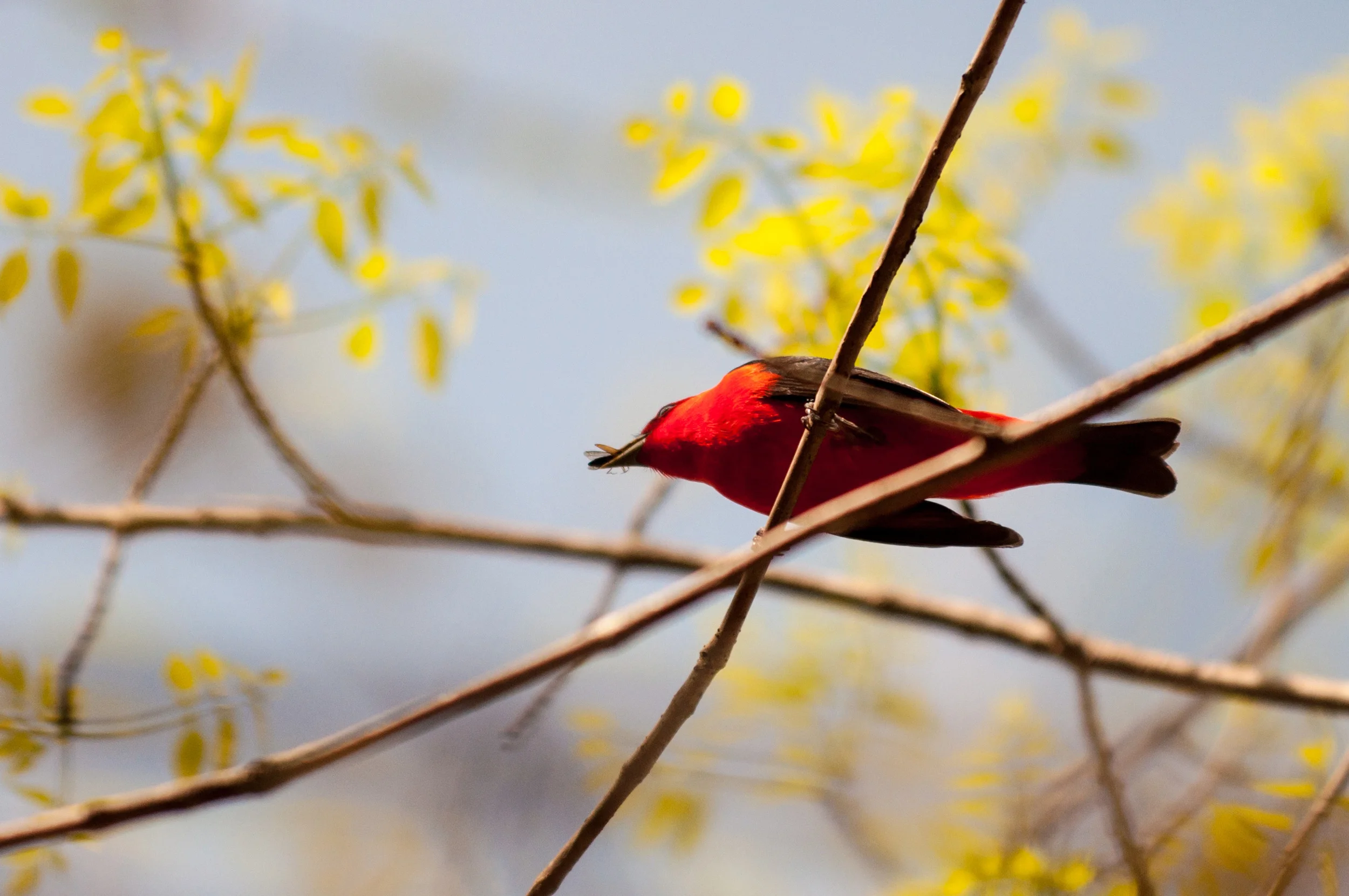 Bird-Watching-(36-of-152).jpg