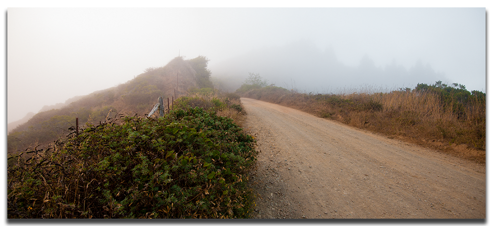lost-coast-road.png