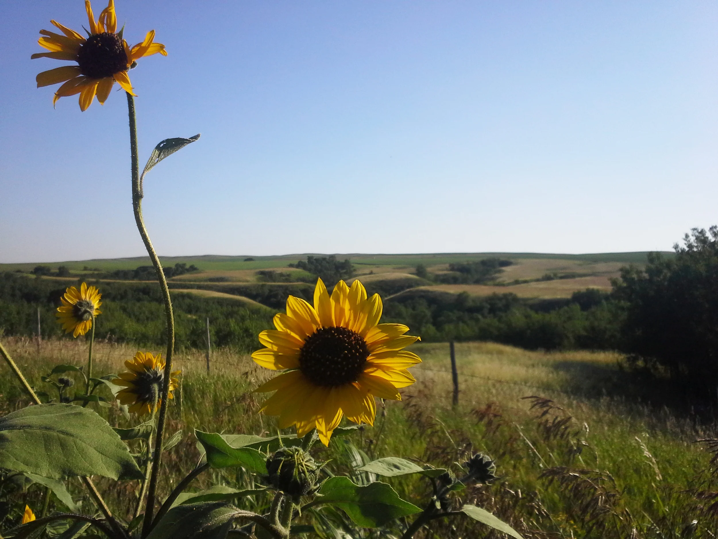 St. Victor Valley