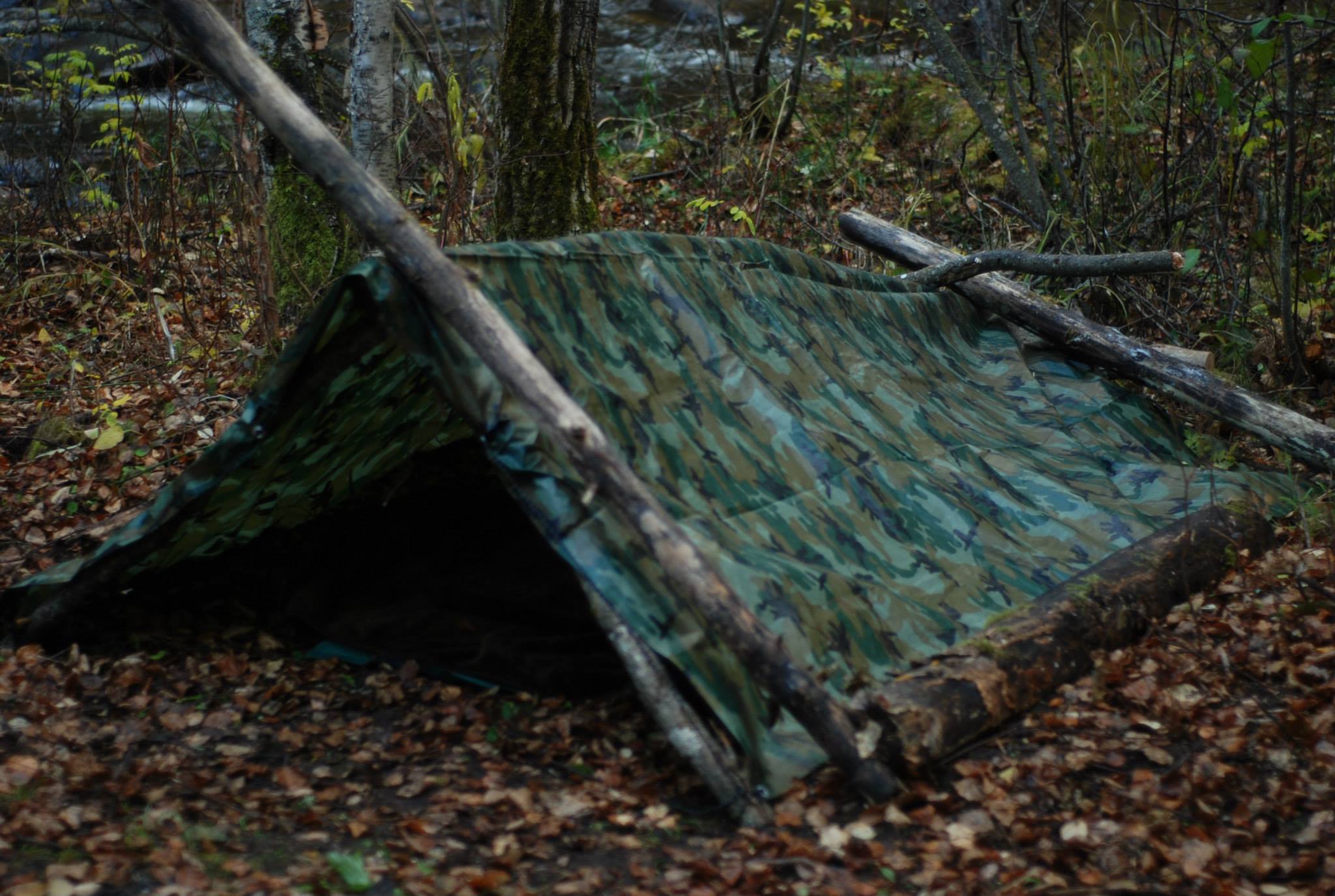 As warm and comfortable as it looks. 