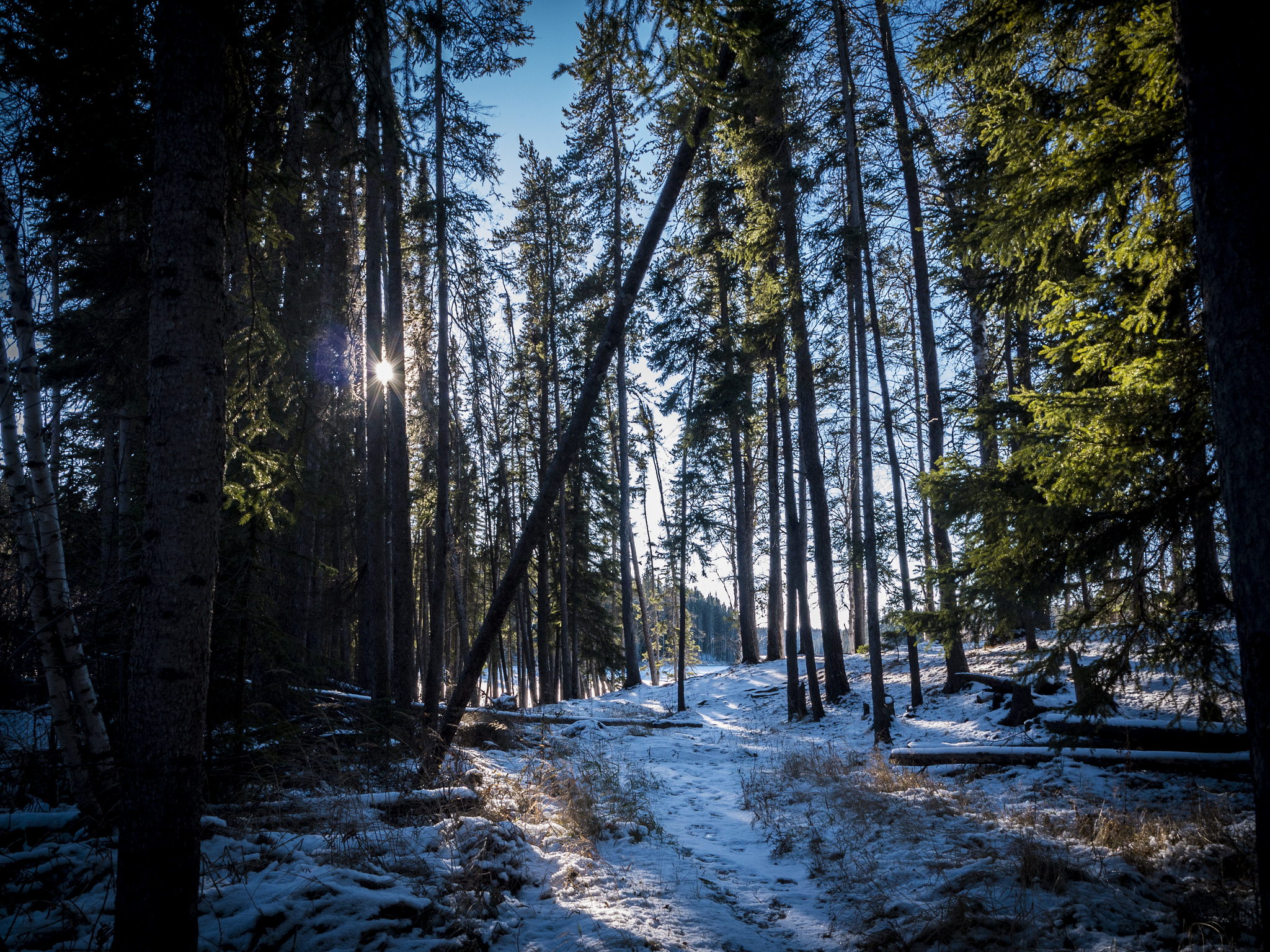 Path to Two Mile Lake