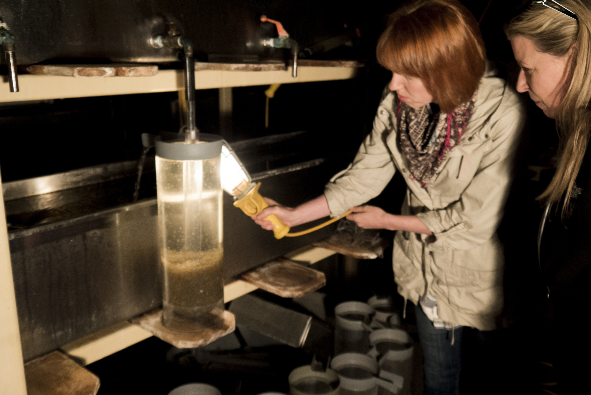 Rachel Birns - Program Support at the Fish Culture Station - sheds some light on "jar-cultured" walleye fry. 