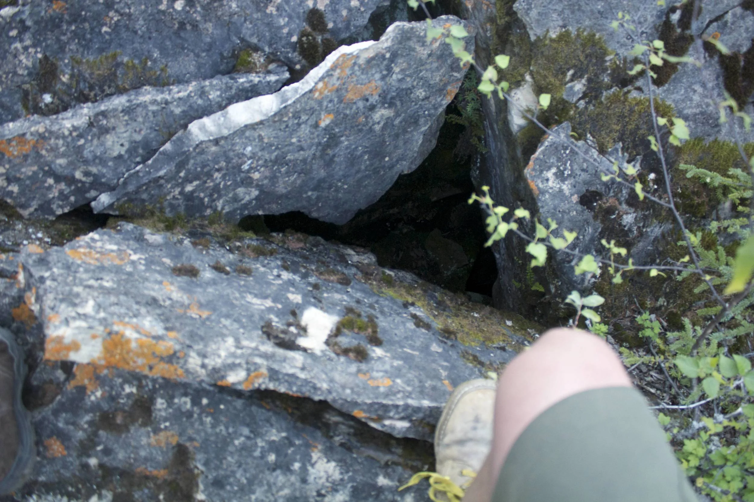 Cracks in the ground.