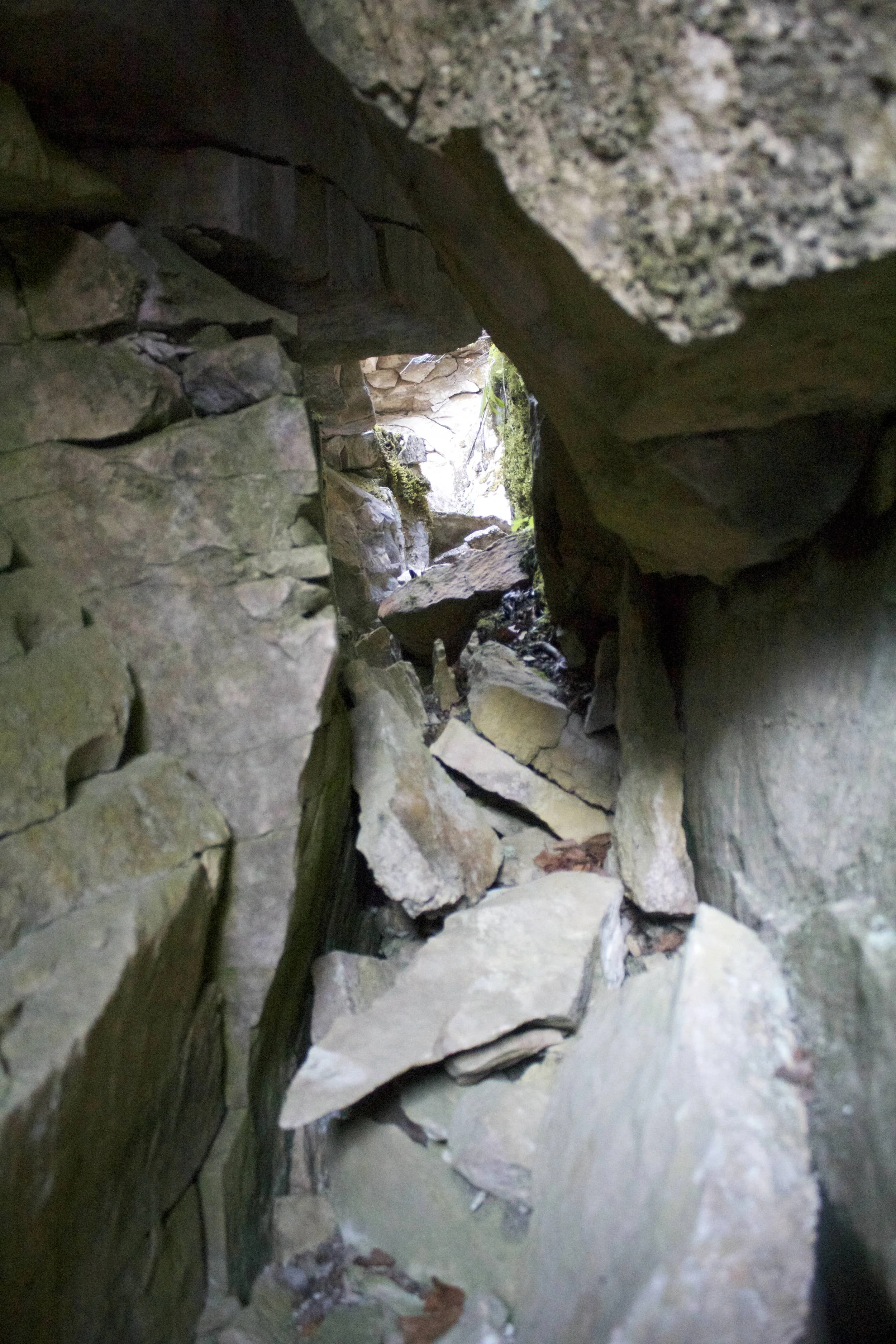 Small caves and tunnels are found at the bottom.