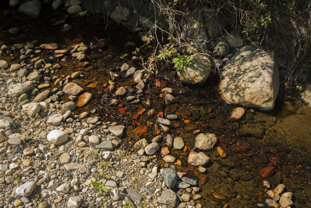 A blood-tinged creek flowing into the Waskwei River