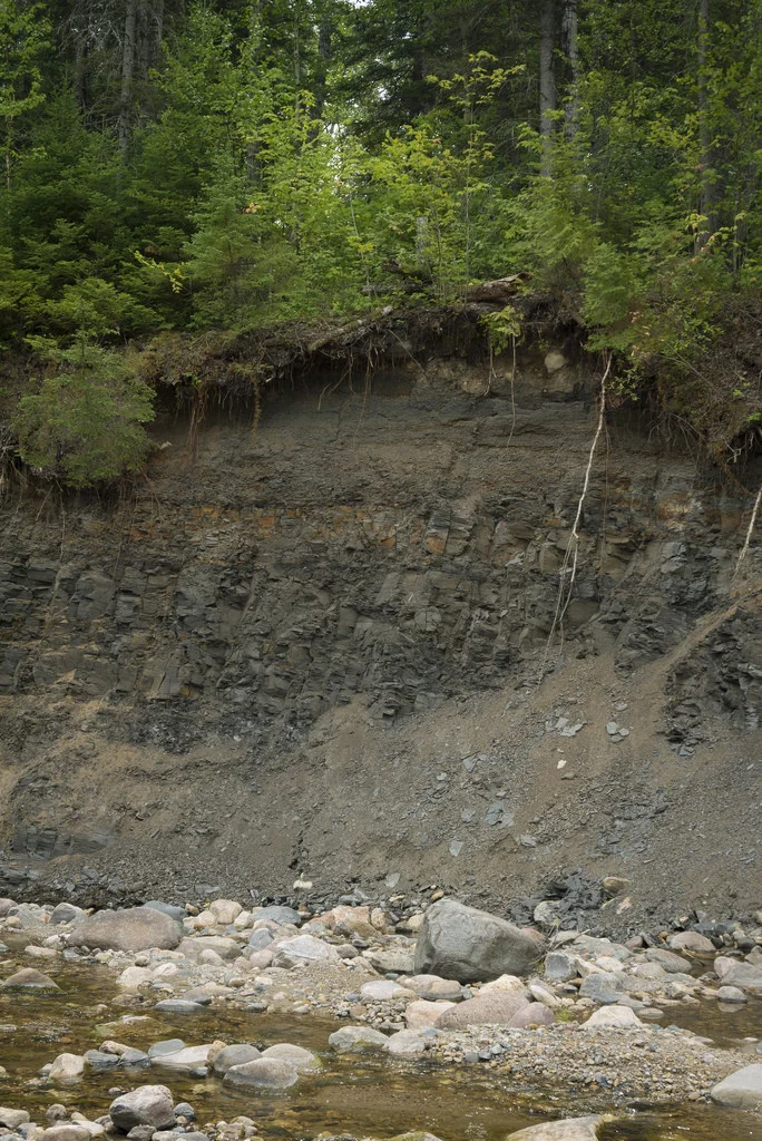 Giant shale outcrops - part of the reason oil companies suspected up to $100 billion in oil shale deposits beneath the Pasquia Hills .