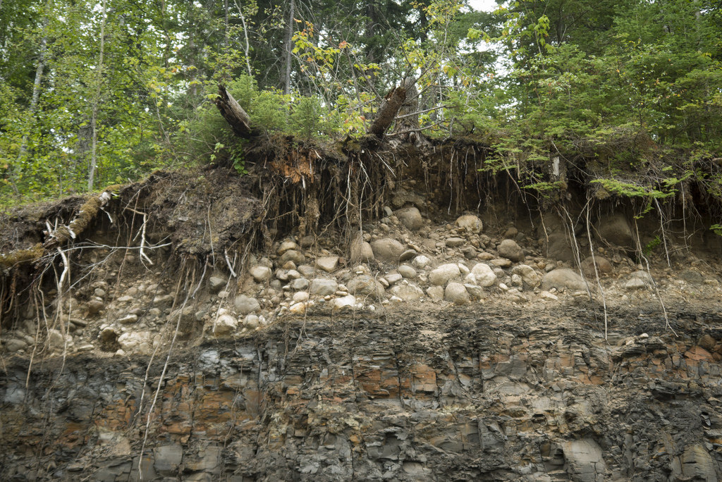 A stark example of unconformity - glacial till sitting on top of a bed of shale. There is a 70 million year difference between the two layers of rock.