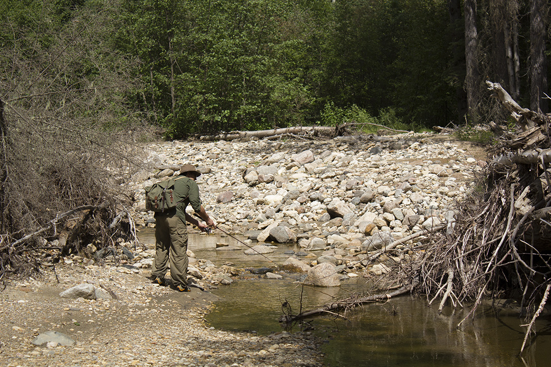 Ambitiously fishing a distinguishable "trout-house."