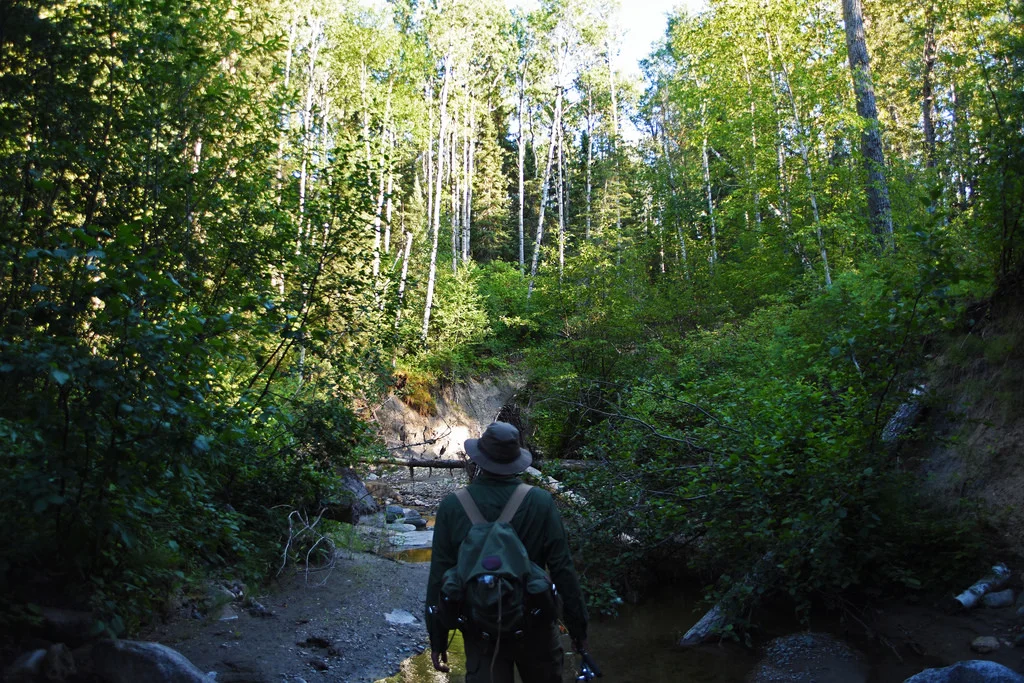 Jason watches the ridge where we had just startled a black bear.