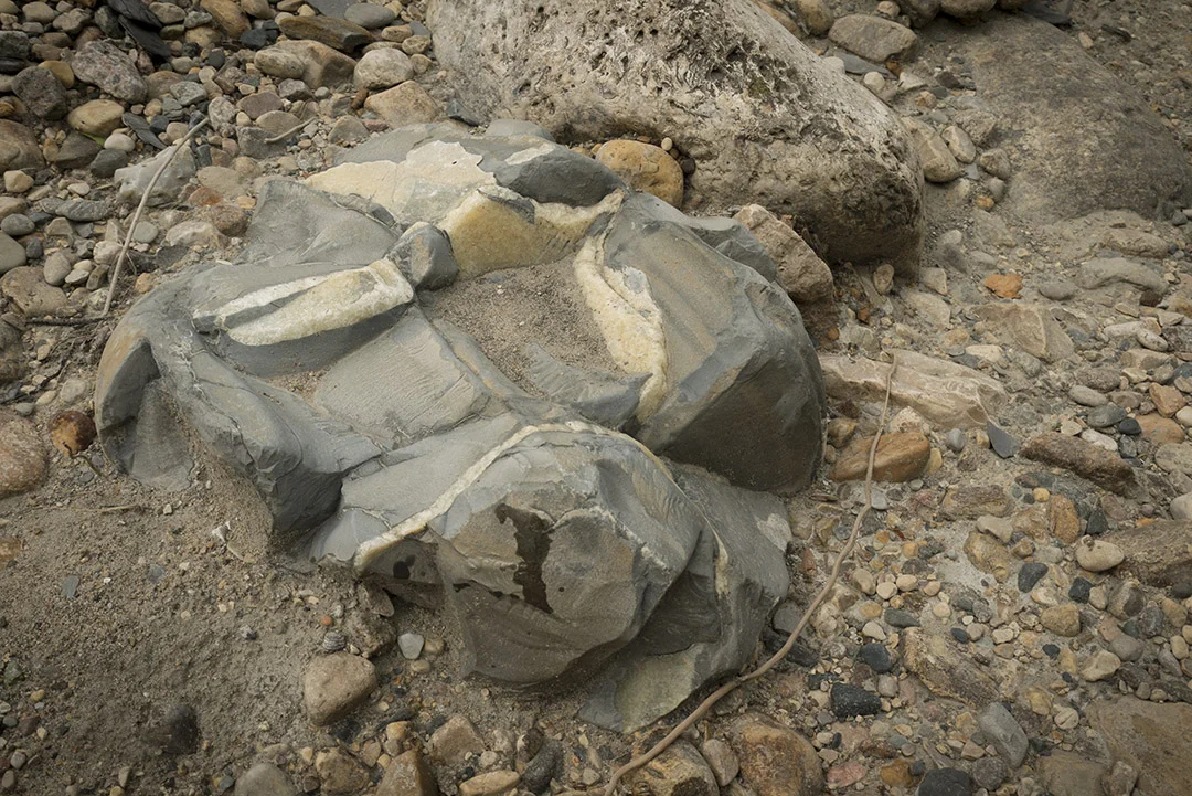 A rock showing veins of a different mineral in its cracks.