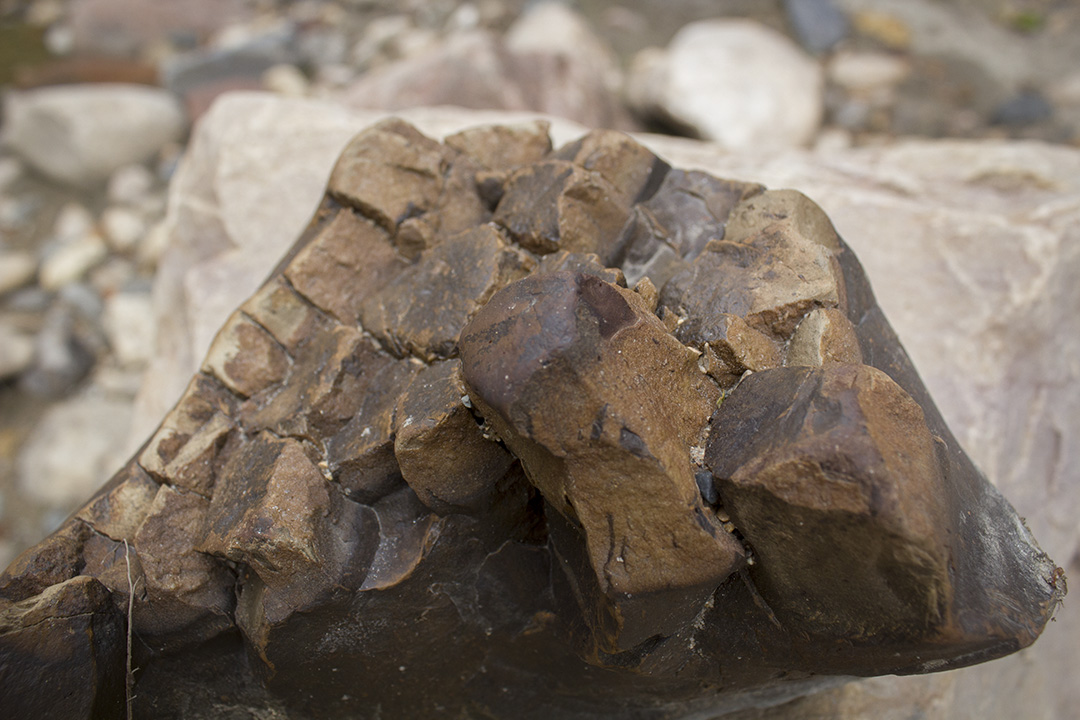 Peculiar rocks scattered all along the riverside