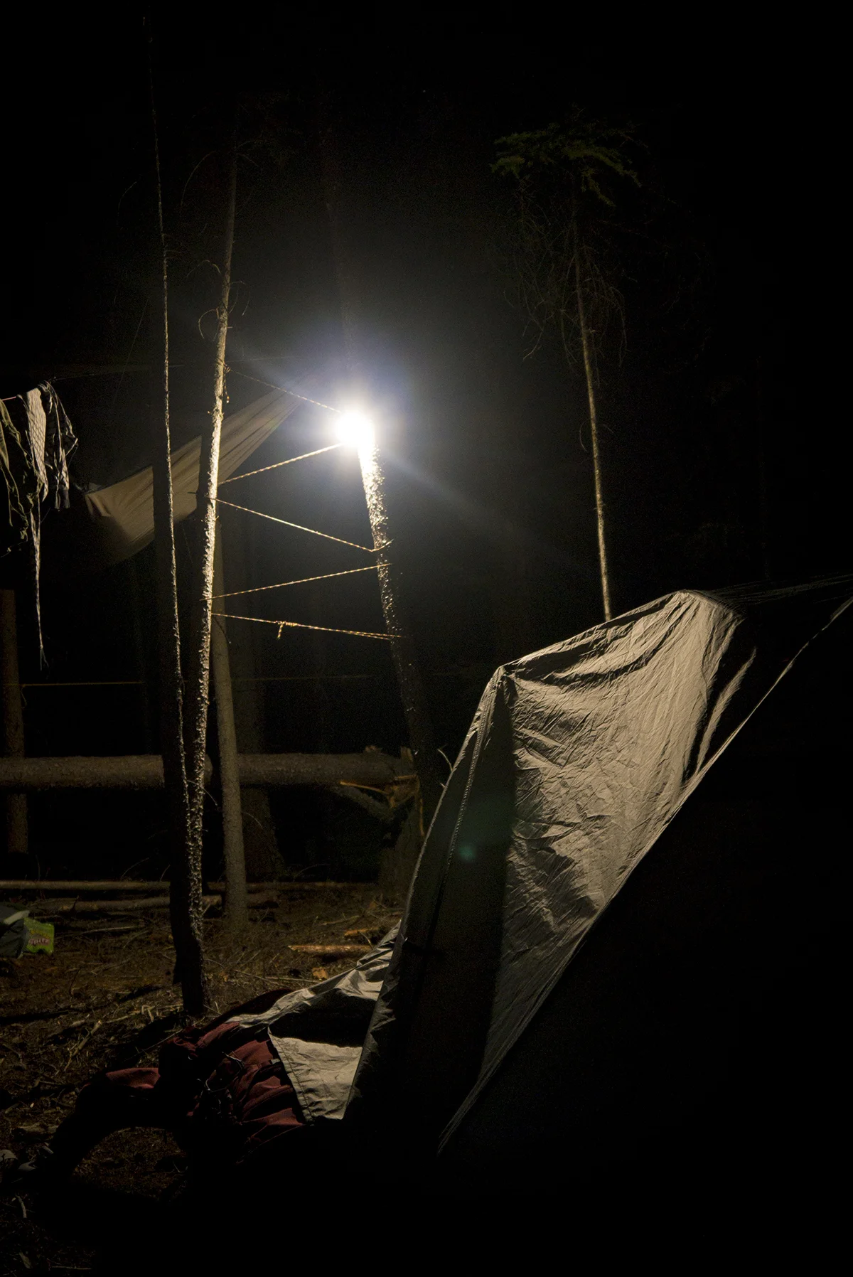 Aside from the northern lights, pitch-black darkness and dead silence filled the night.