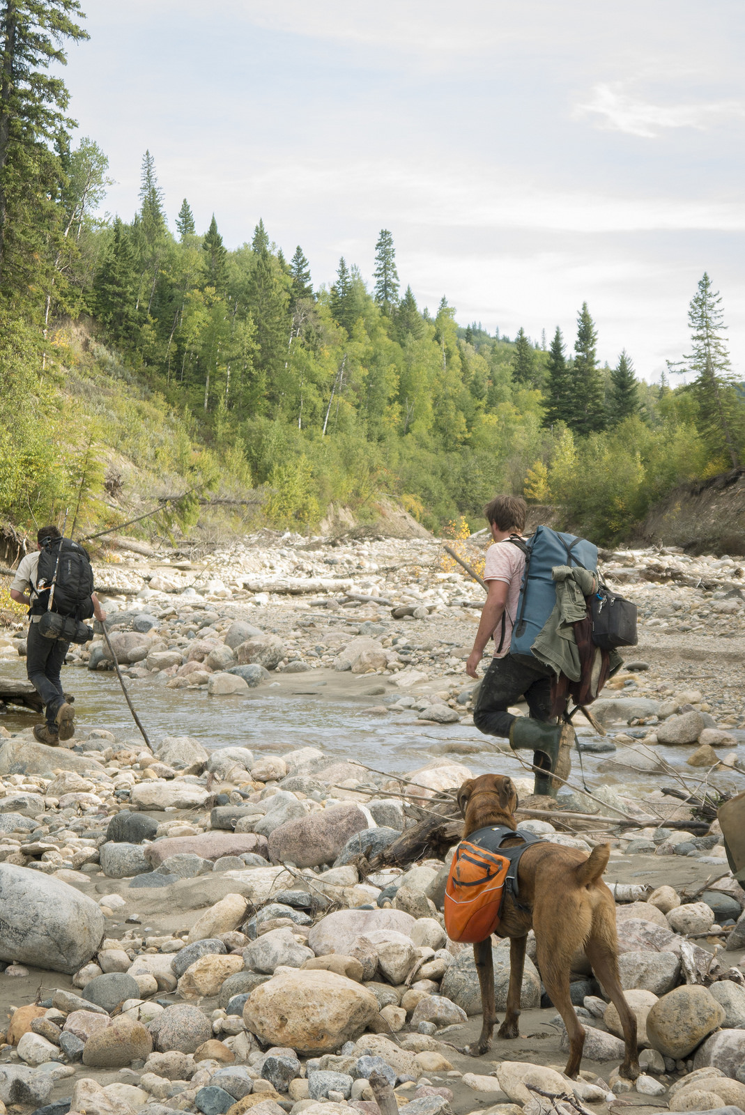 Easy walking, boys.