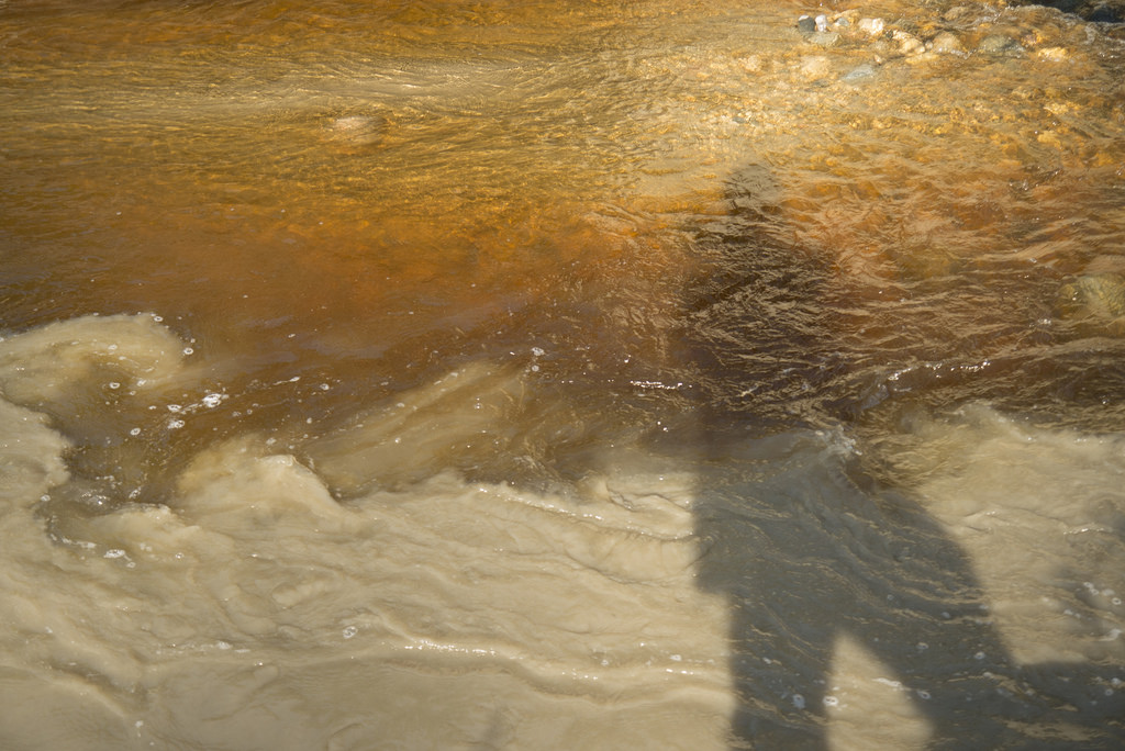 Where mud meets the Rice River.