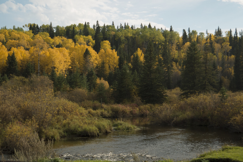 Viewing fall colours from "Little Swan Municipal Park."