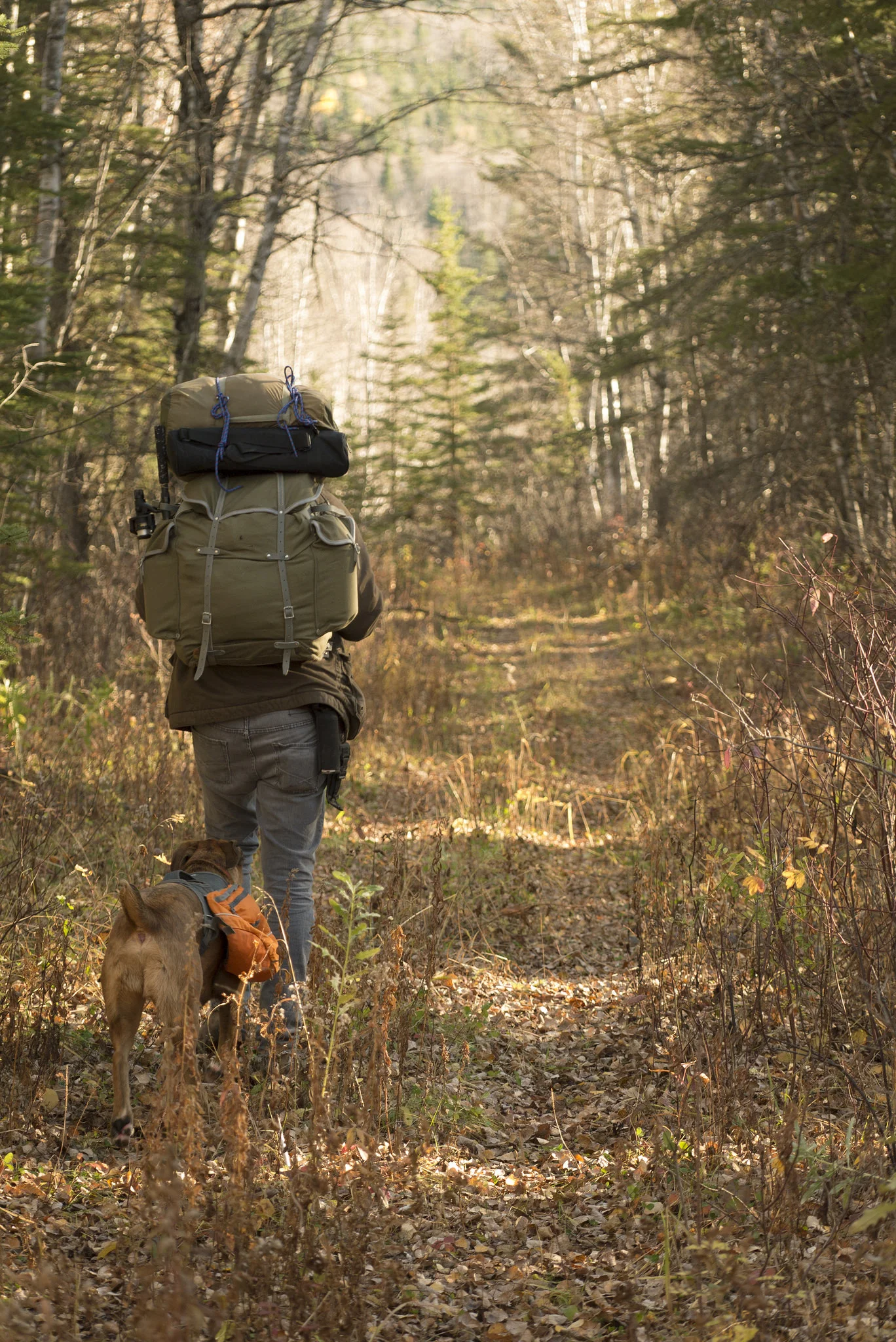 Hiking through the valley's ATV trails