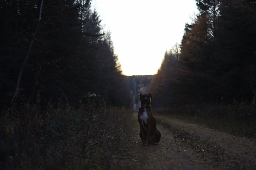 Jean-Paul may spend a lot of time in the woods, but the darkness still gets to him.