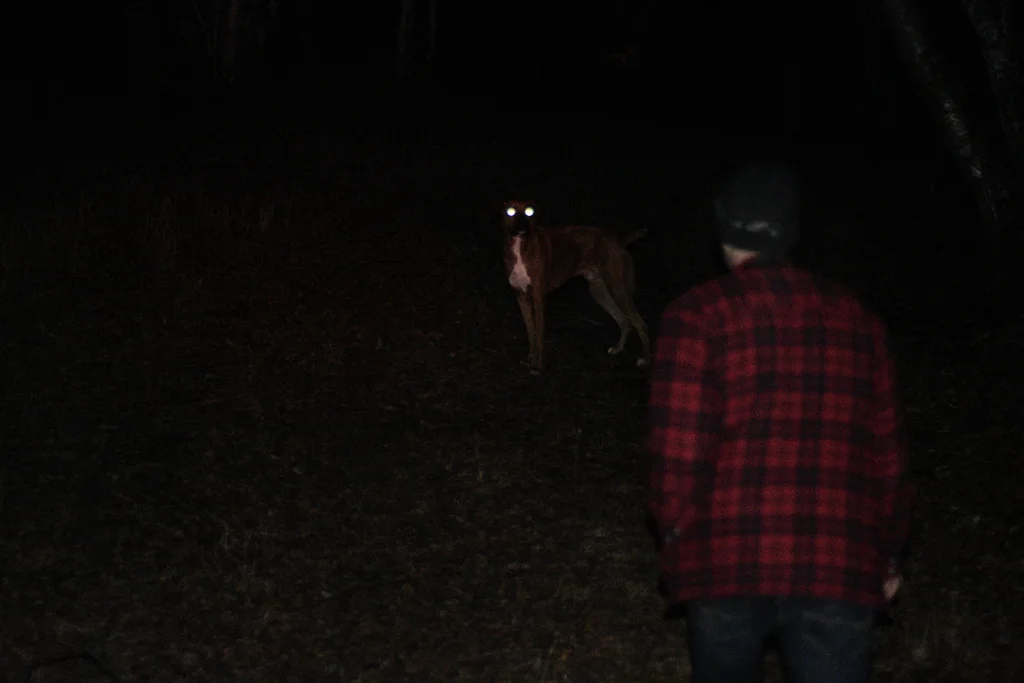 Nighttime hiking