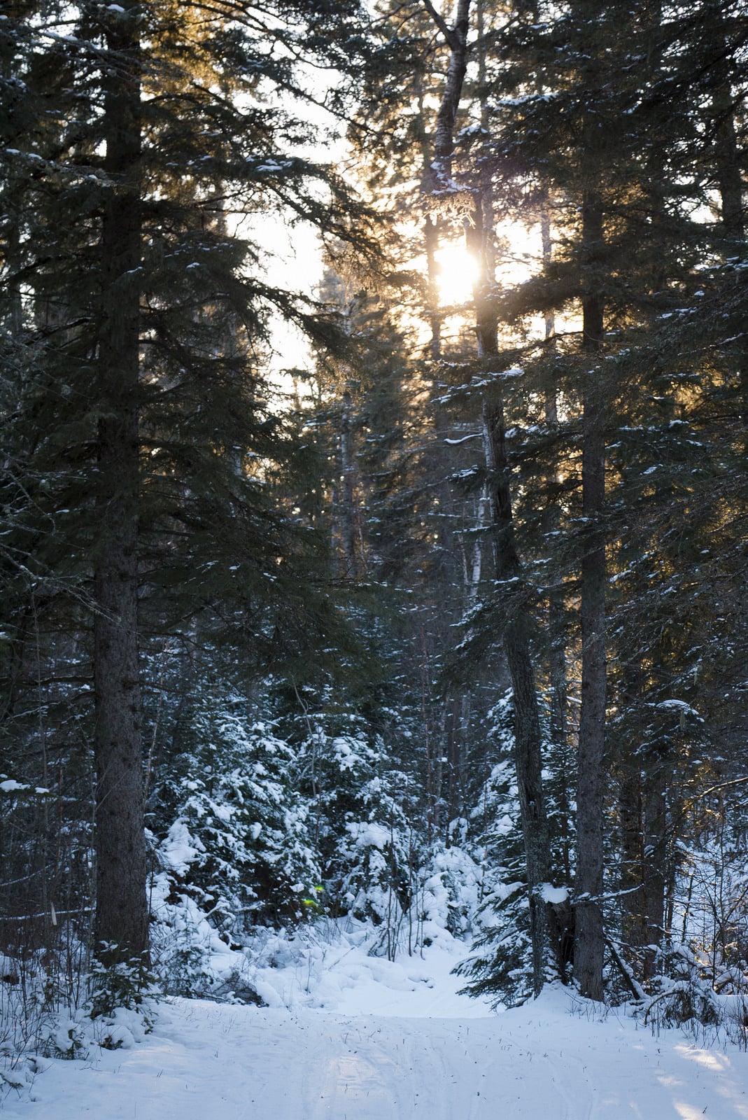Luckily, Duck Mountain delivers on my promise of a winter Wonderland.