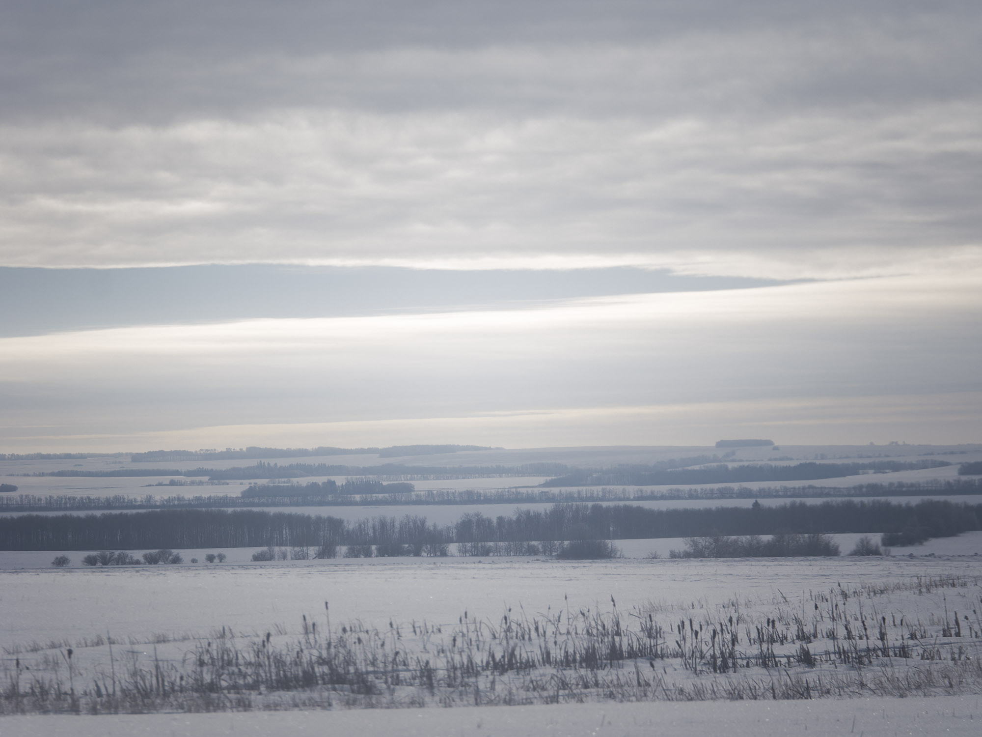 Driving through the transition from aspen parkland into the forests north of Kelvington.