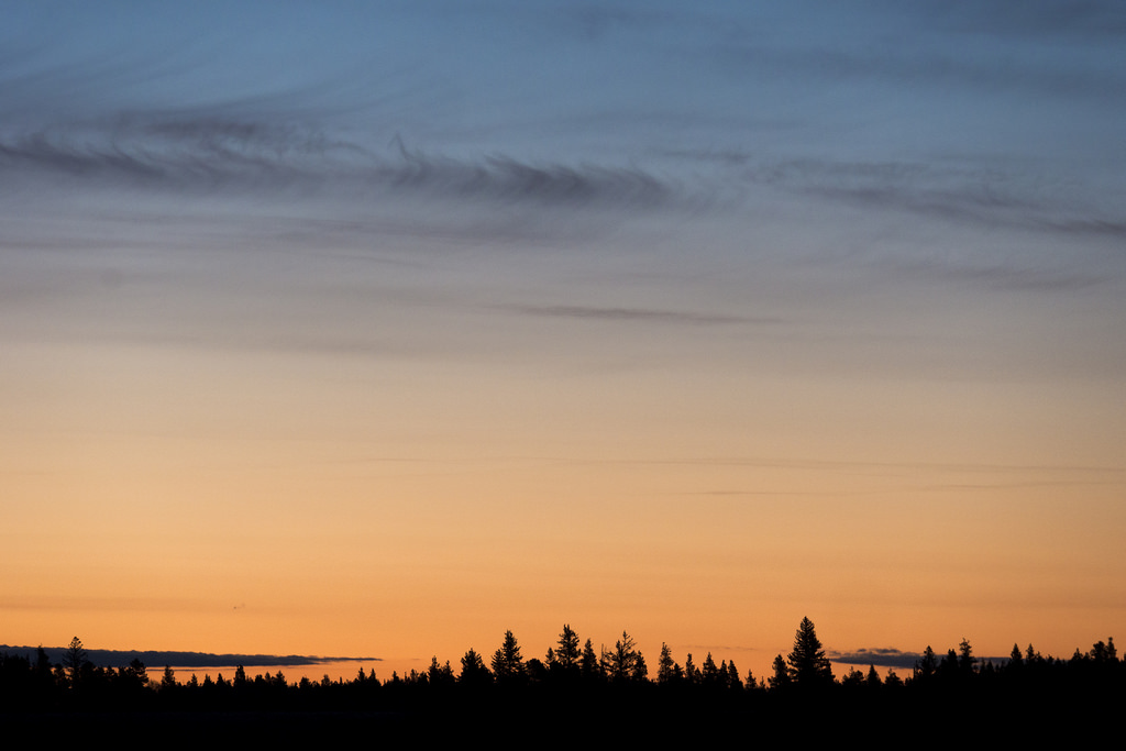 Changing hues over the treeline.