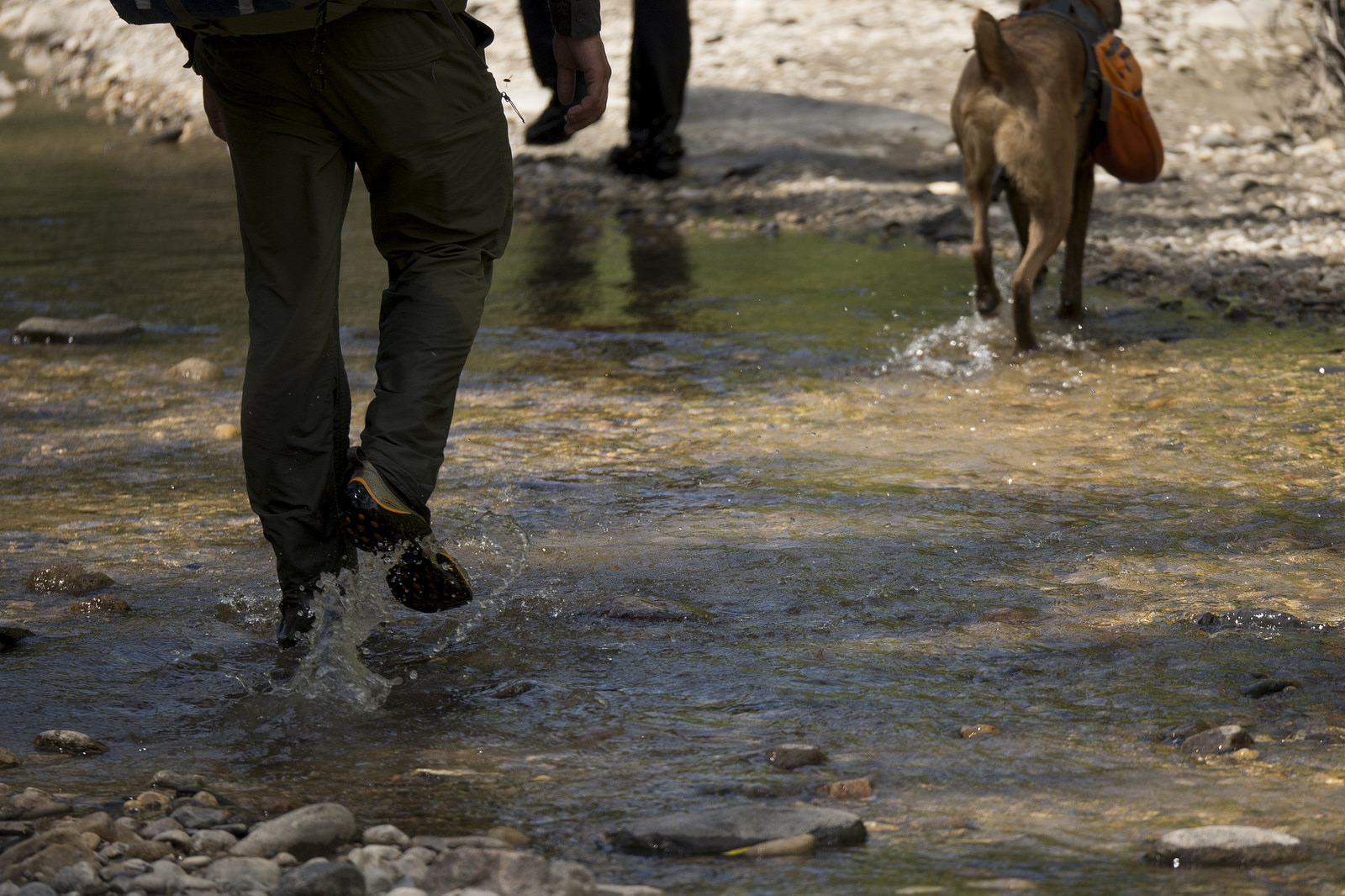 Walking through the easily passable waterways of Waskwei River.