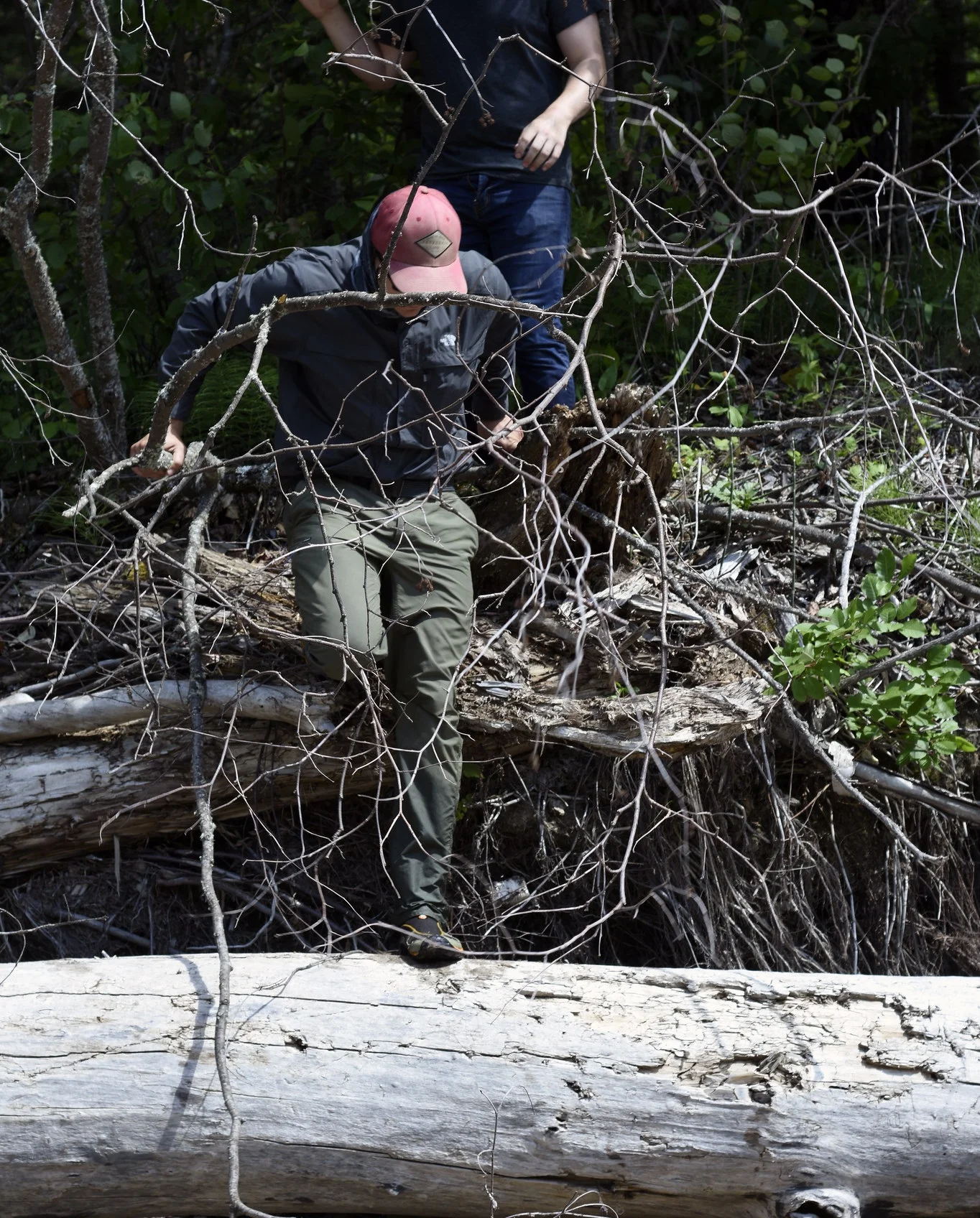 Leading the hike over fallen trees and jagged branches.