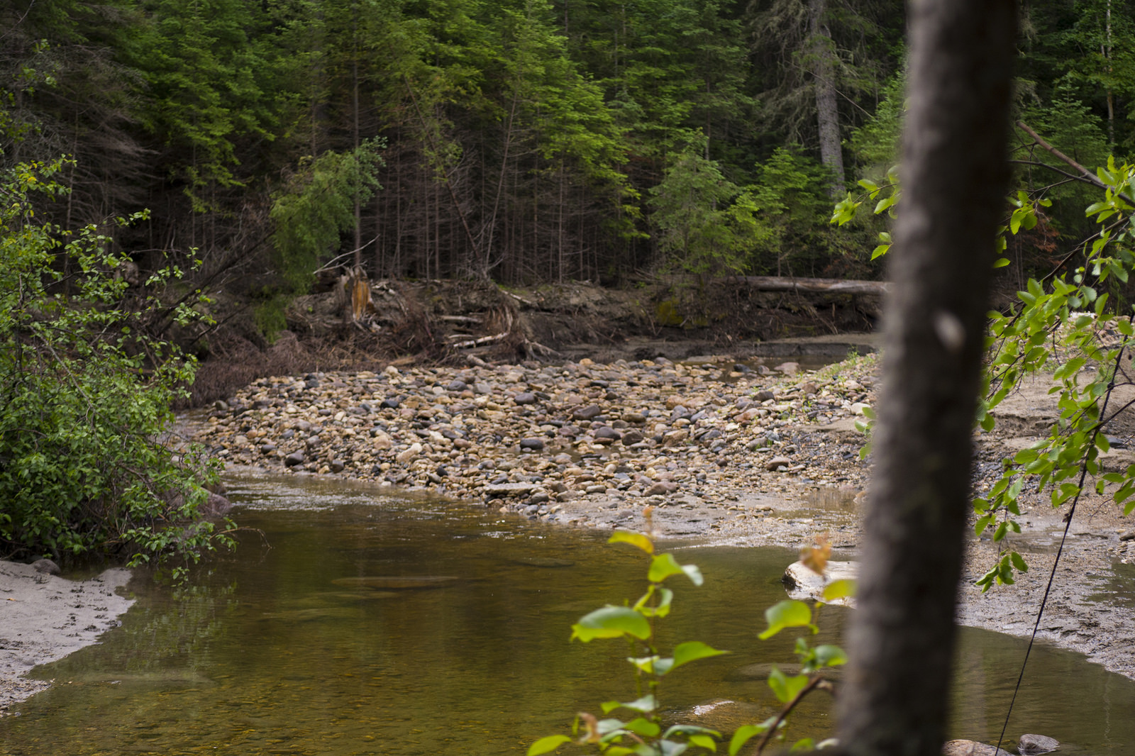 View of the river from camp on the morning after our first night's stay.