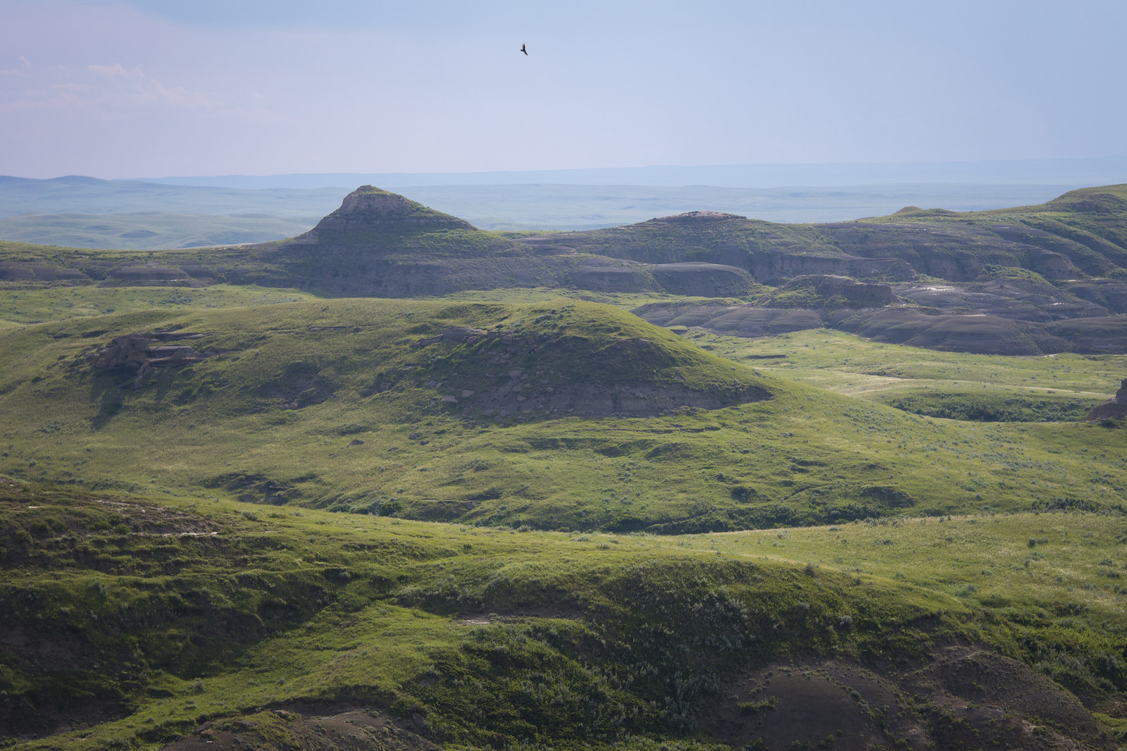 Early evening showcases the badlands' otherworldly scenery.