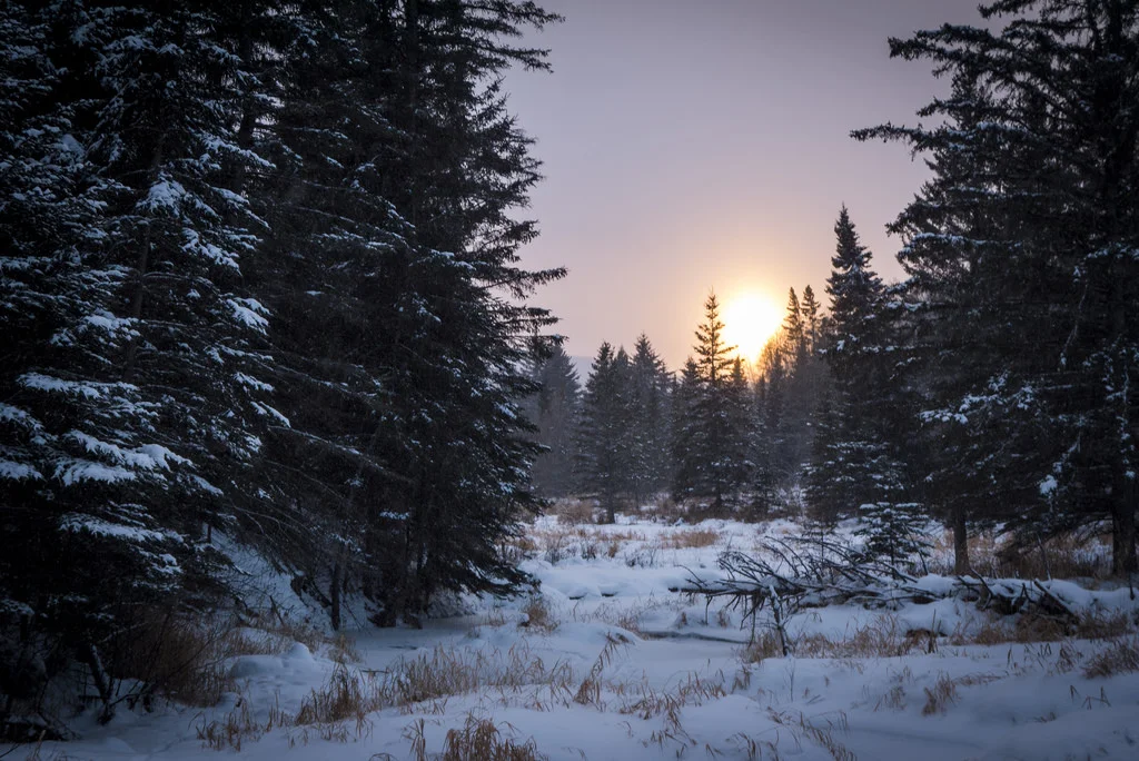 Winter at Little Boggy Creek