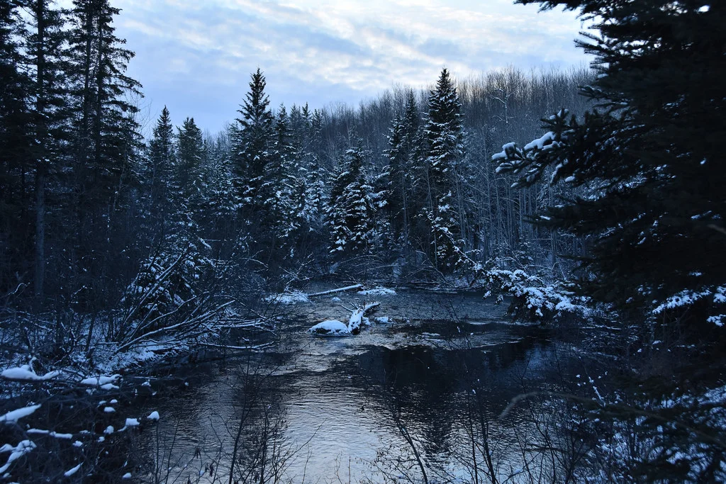 Woody in November