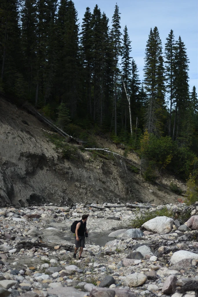 Rice River in the Pasquia Hills would have been a likely habitat for grizzlies until the early 1900s. (Hootz)