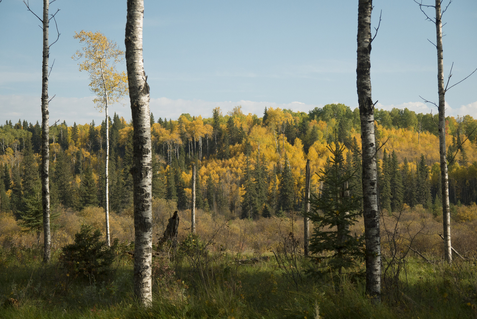 Gateway to Porcupine Hills