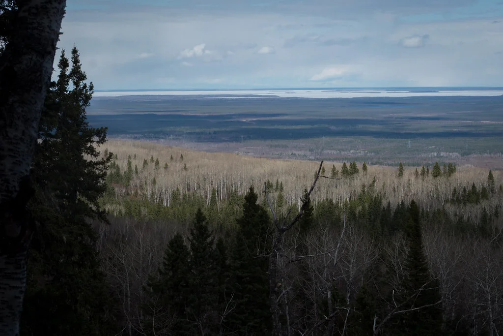 Vantage point of the Manitoba lowlands from the northeast ridge of the Bell River Canyon (Goodson)