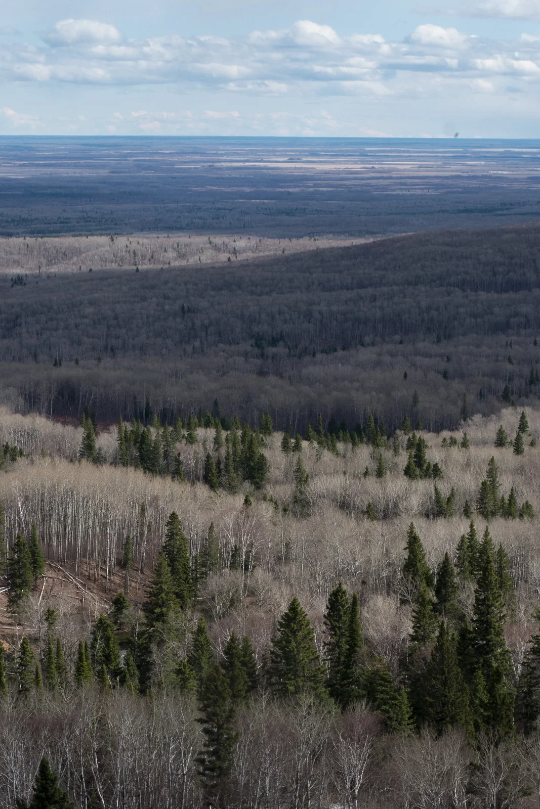 An expansive view of the Bell River valley leading down to the Manitoba Lowlands. The Duck Mountains’ shadow can be seen 70 km away. (Goodson)