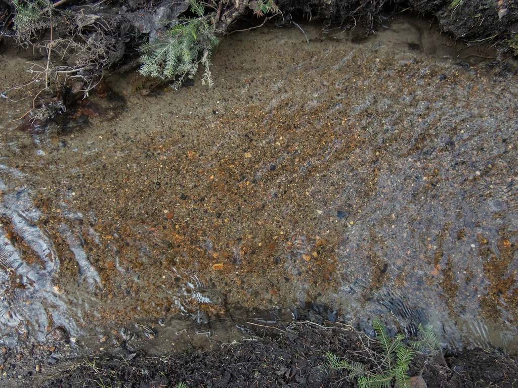 If it looks clean, it probably is right? (Hootz)