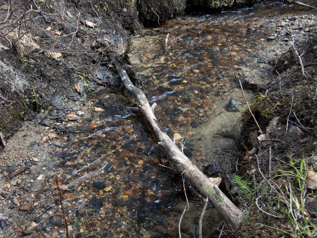 No need for a river (Hootz)