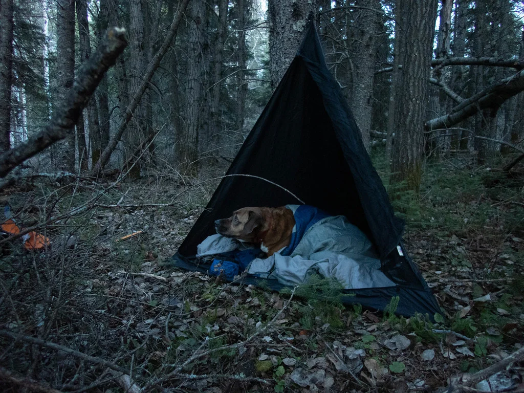 J.P.’s tent, the bear-sized Toblerone (Hootz)