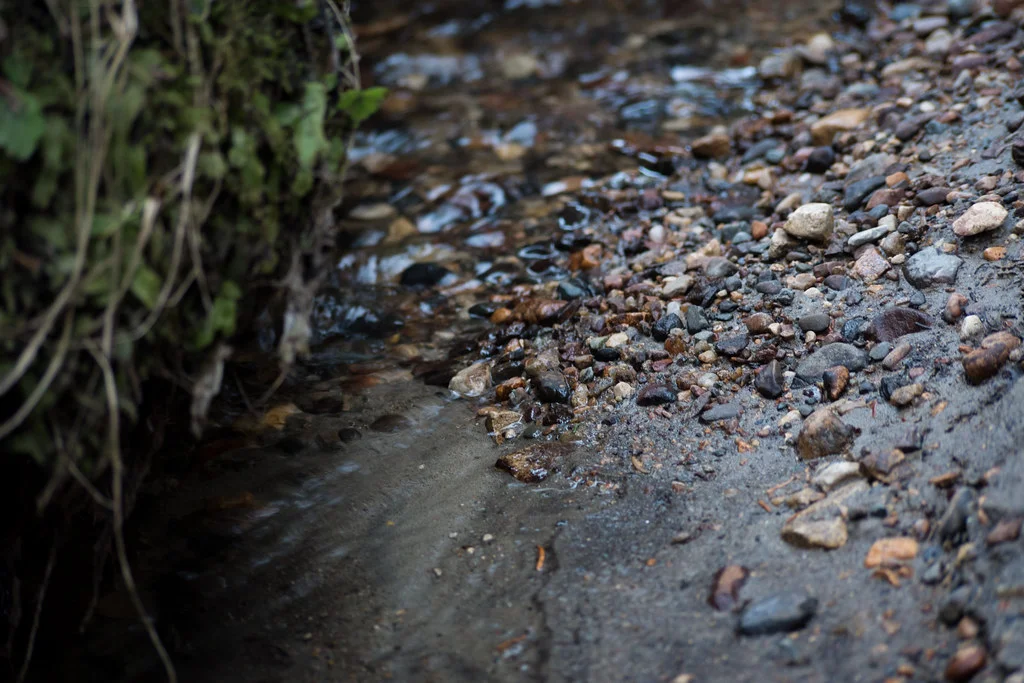 Babbling brook (Goodson)