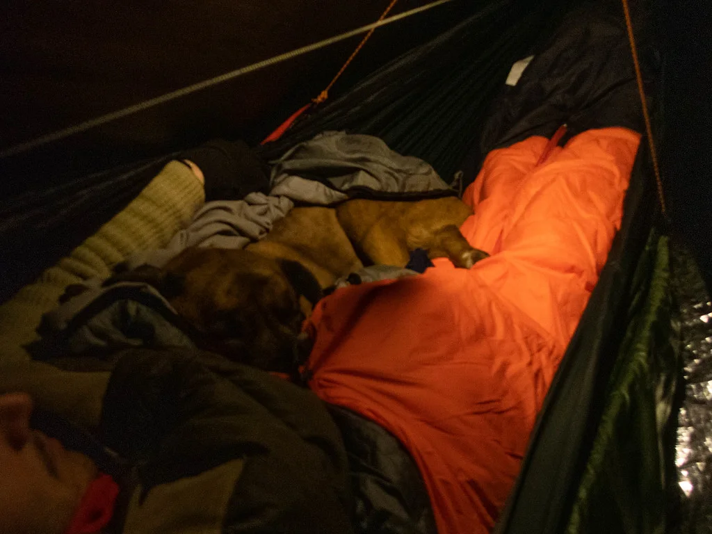 J.P., valuable heat source, man’s best friend (Hootz)