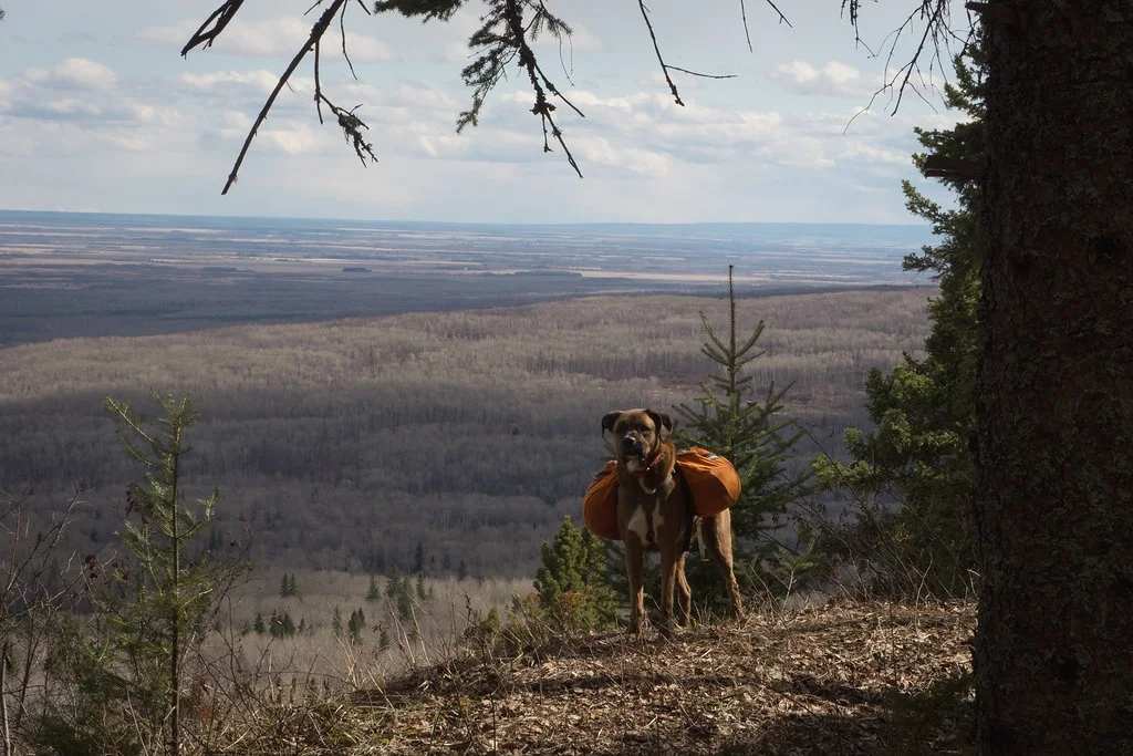 J.P. at the ol’ Gobbler’s Knob (Goodson)