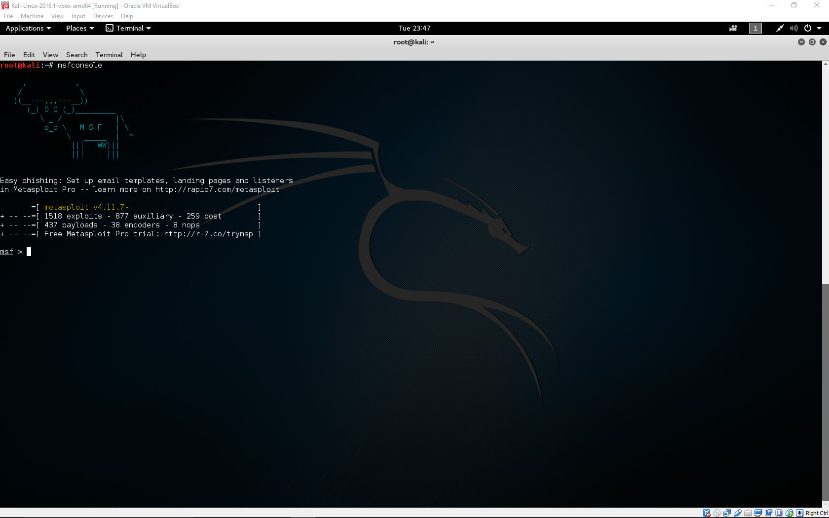 Kali Linux VM in Oracle Virtualbox — Manito Networks