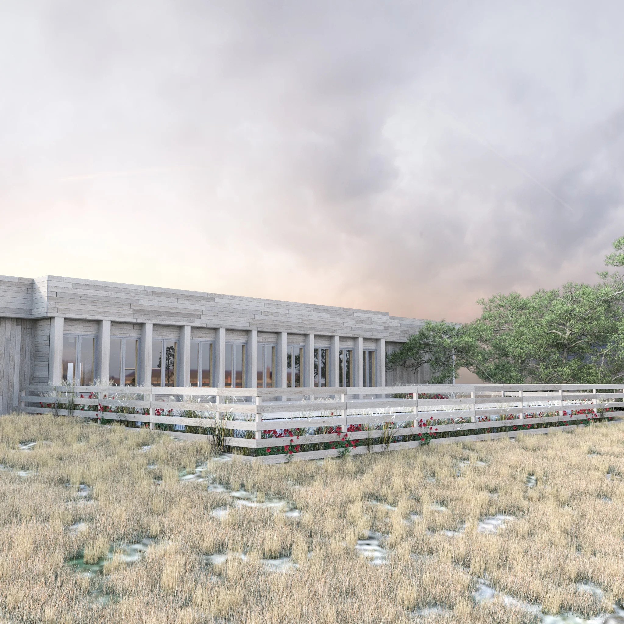 Campus deck in the dunes (rendering)