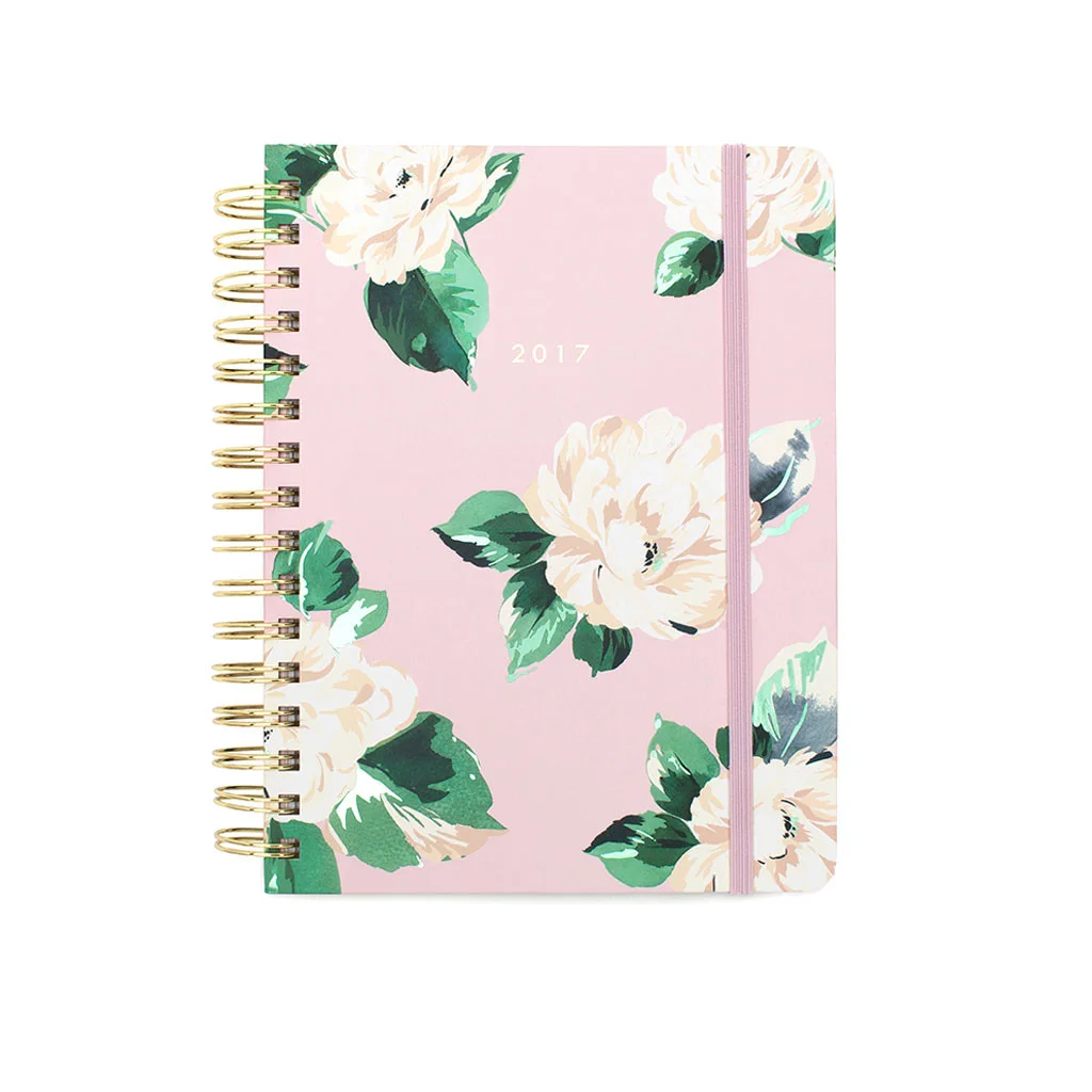 17 month medium agenda, $28, ban.do