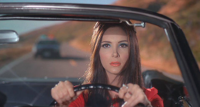 the love witch the love witch