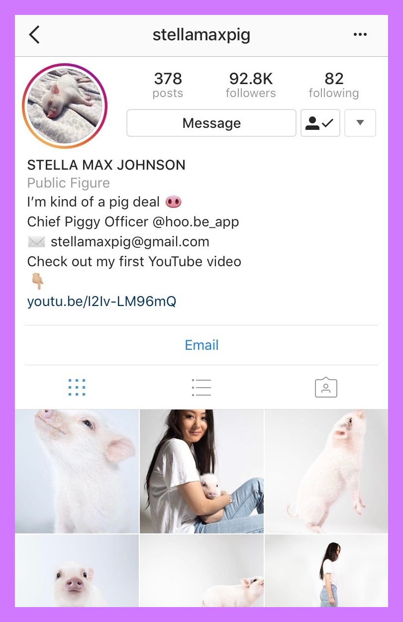 @stellamaxpig.jpg