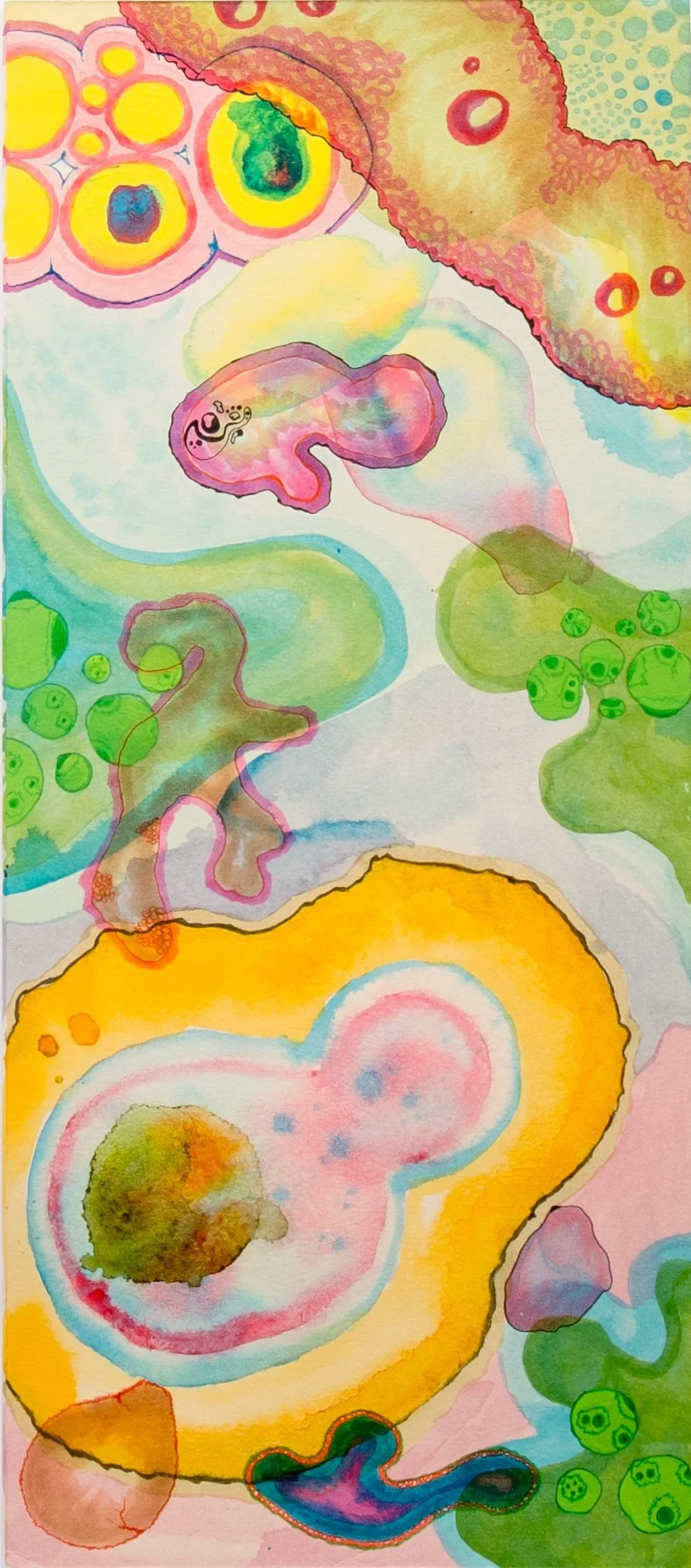 Neurogenic Conception, 2017