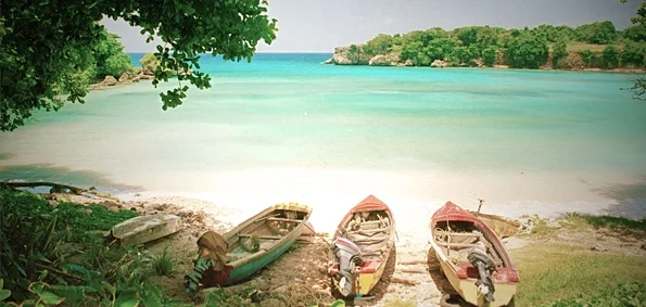 Movements: What's the 411 on creating a successful reggae music career?