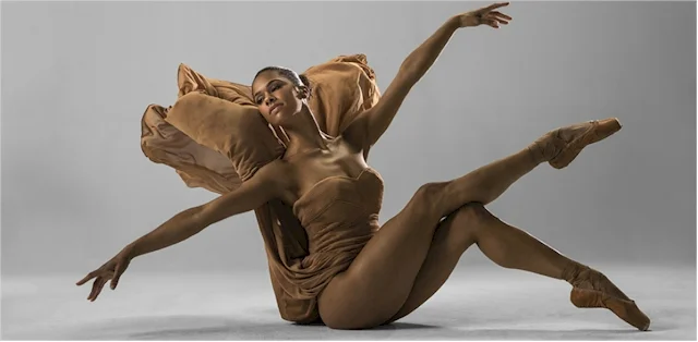 MOVEMENTS: American Ballet Theatre's First Black Principal