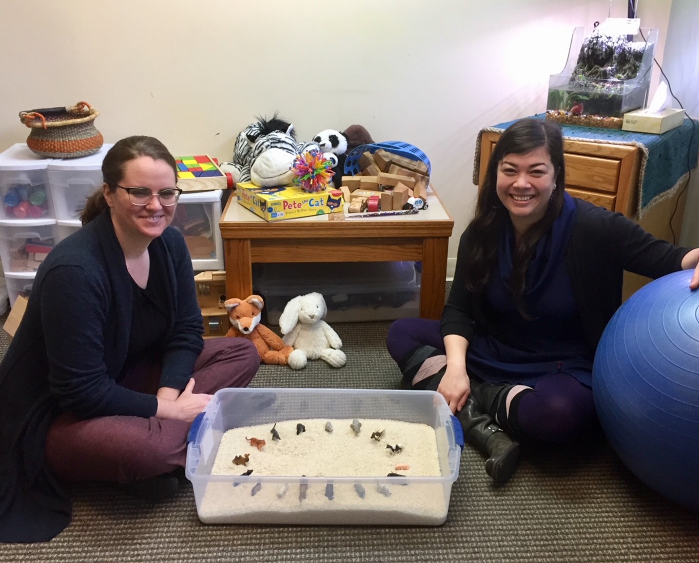 Program Spotlight: Early Childhood Counseling Program